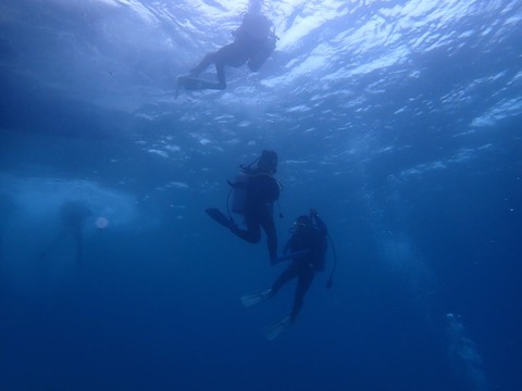 P2100003