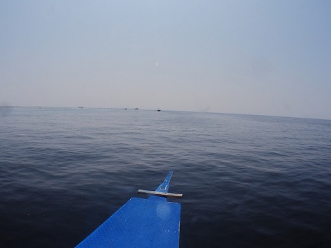 P9220009 (640x480)