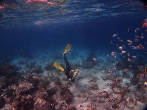 P1197520 (640x480)