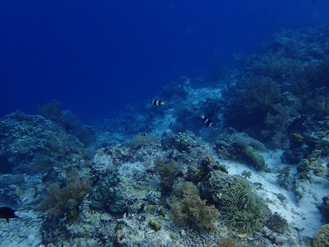 P7021772 (640x480)