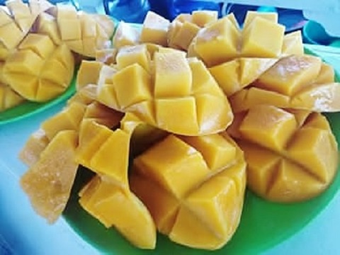 75610888_1443954909086447_3231774268161261568_n (360x270)
