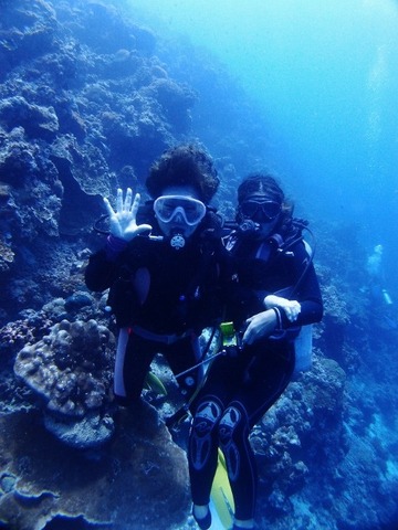 P3152187 (480x640)