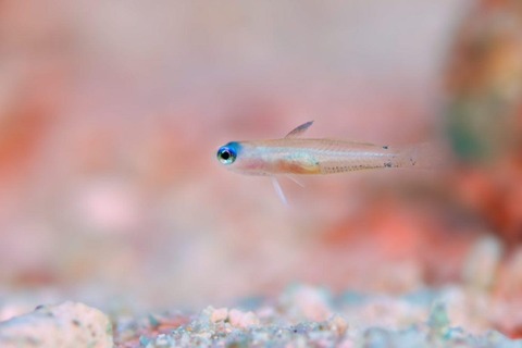 IMG_20260106_115548_347