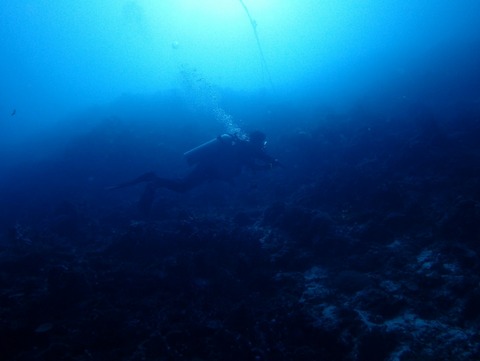 Messenger_creation_65D15A59-A02E-4707-9C87-292EED48C99D