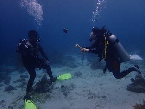 P5070926 (640x480)
