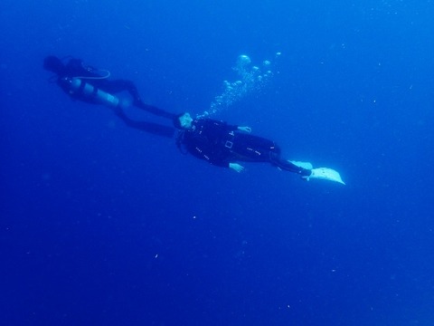 P8170321 (640x480)