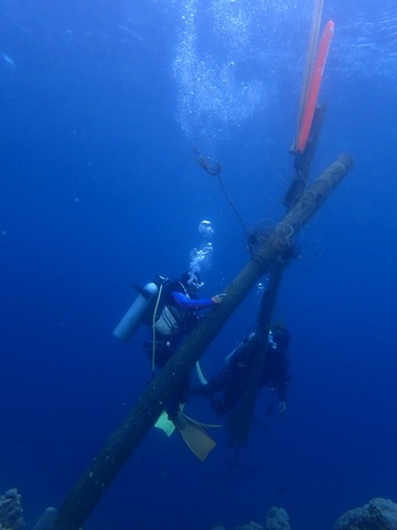 P3070131