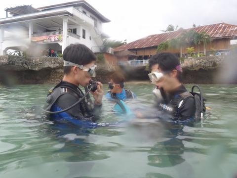 P1010002 (640x480)