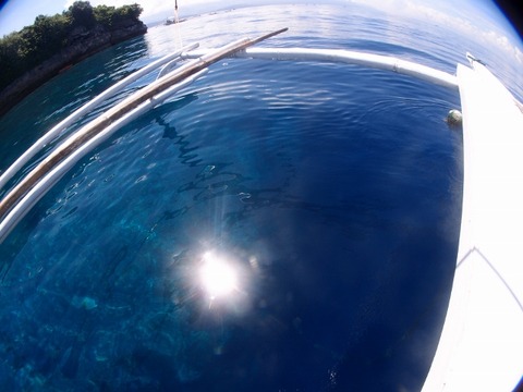 PA082685 (640x480)