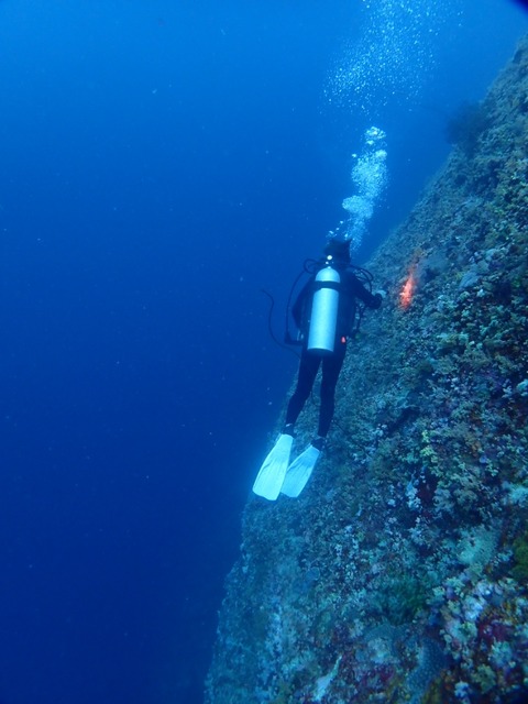 P5130091