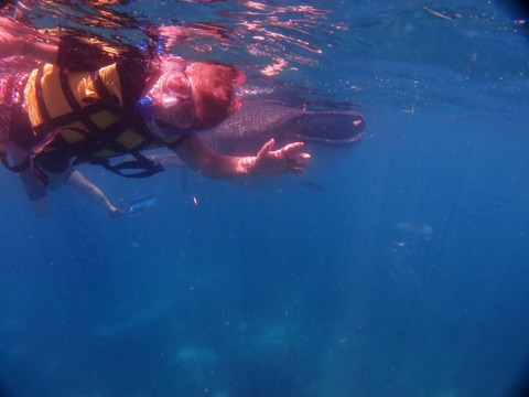 P4210354 (640x480)