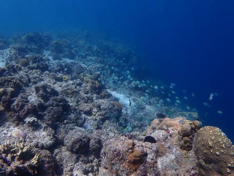 P7030015