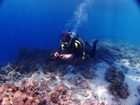 P9161802 (640x480)