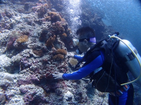 P9106022 (640x480)
