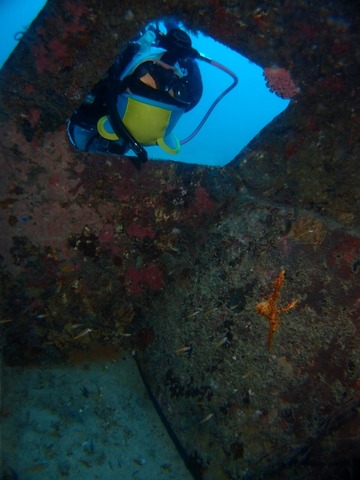 PA067128 (480x640)