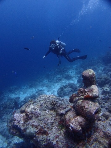 P3250701 (480x640)