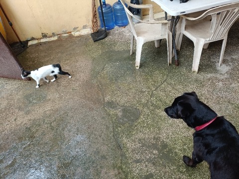 IMG20251115071447