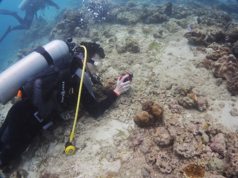 P1010233 (640x480)