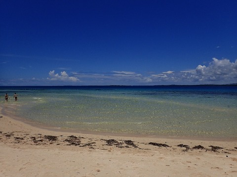 P5050616 (640x480)