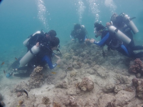 P2100213 (640x480)