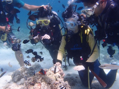 P2252437 (640x480)