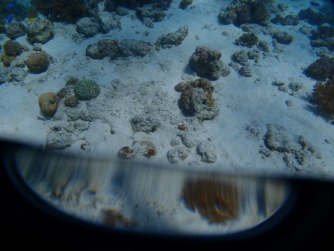 P4053796 (640x480)
