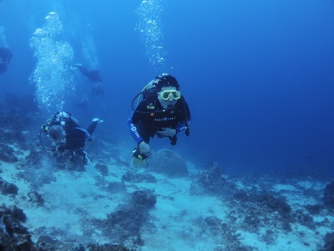 PA100178 (640x480)