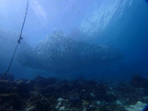 Messenger_creation_ED4F3D31-1FF4-4364-BDD8-DD57A62627AD