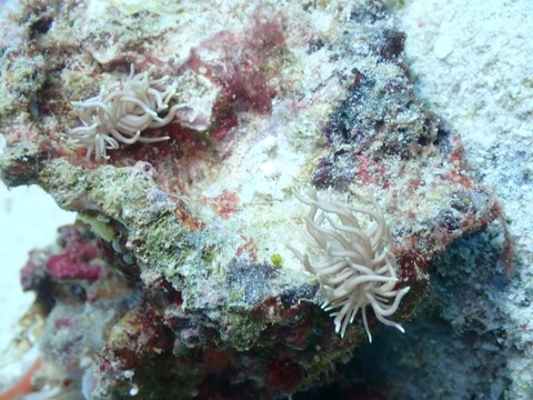 P9190018