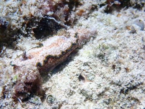 P5040015