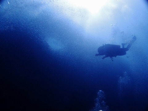 P1012355 (640x480)