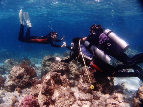 P2251271 (640x480)