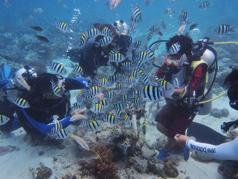P7310018 (640x480)