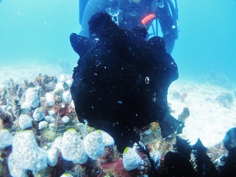 P3060018 (640x480)