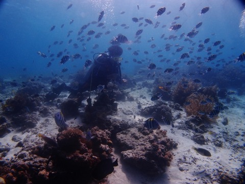 P1016531 (640x480)