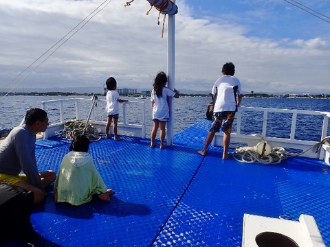 P3010091 (640x480)