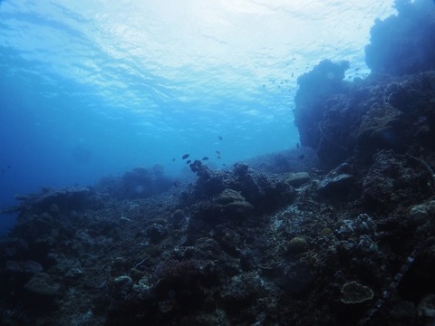 P1020420 (640x480)