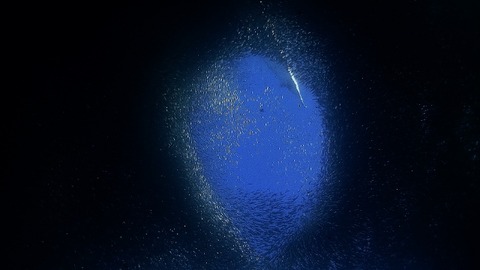 P2130164 (640x360)
