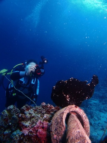 P1017317 (480x640)
