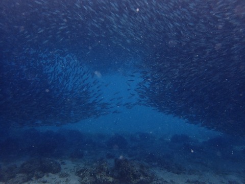 PC280043 (640x480)