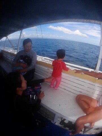 P3031498 (480x640)