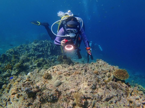 Messenger_creation_7A01443B-FA5E-4F31-A4EF-F57BAD624ACB