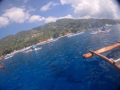 P9015674 (640x480)