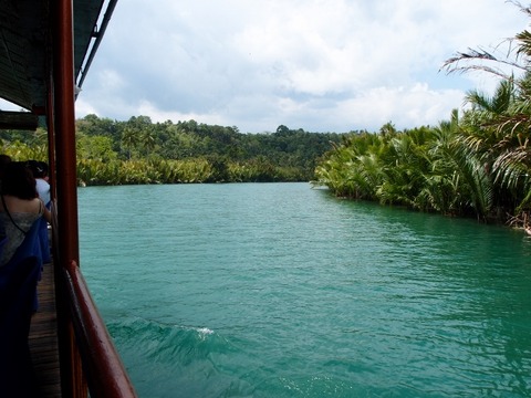 P3133667 (640x480)