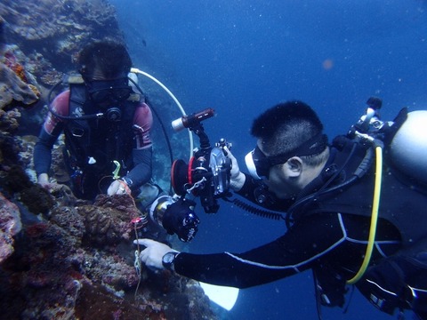 PC246593 (640x480)