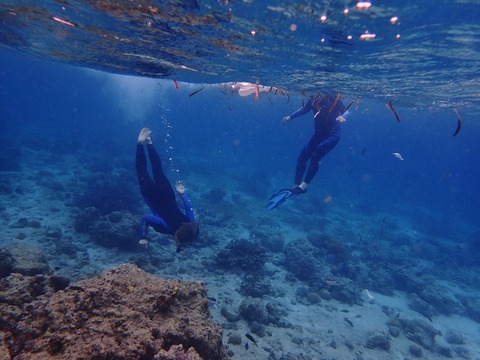P3182147 (640x480)