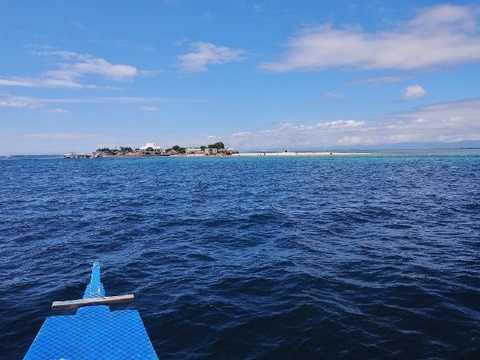 P1100062 (640x480)