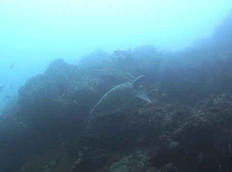 P1210009