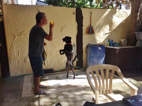 47681324_217683132456603_6364505924756832256_n (640x480)