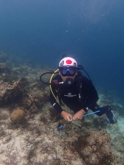 Messenger_creation_CED32B23-0A16-42E1-97AD-6998CC1CC85D